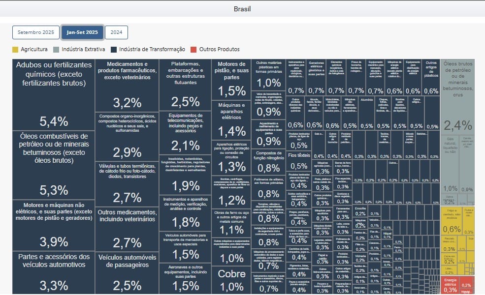 Print da tela da plataforma Comex Stat, monstrando o ranking dos produtos mais importados pelo Brasil em 2025.