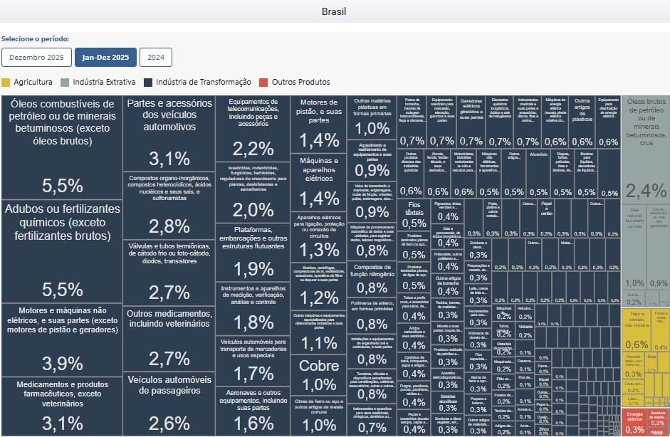 Print da plataforma Comexstat mostrando quais são os produtos mais importados pelo Brasil.